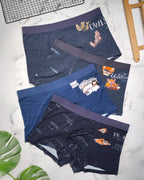 Dragon Underwear 4 Pc Combo