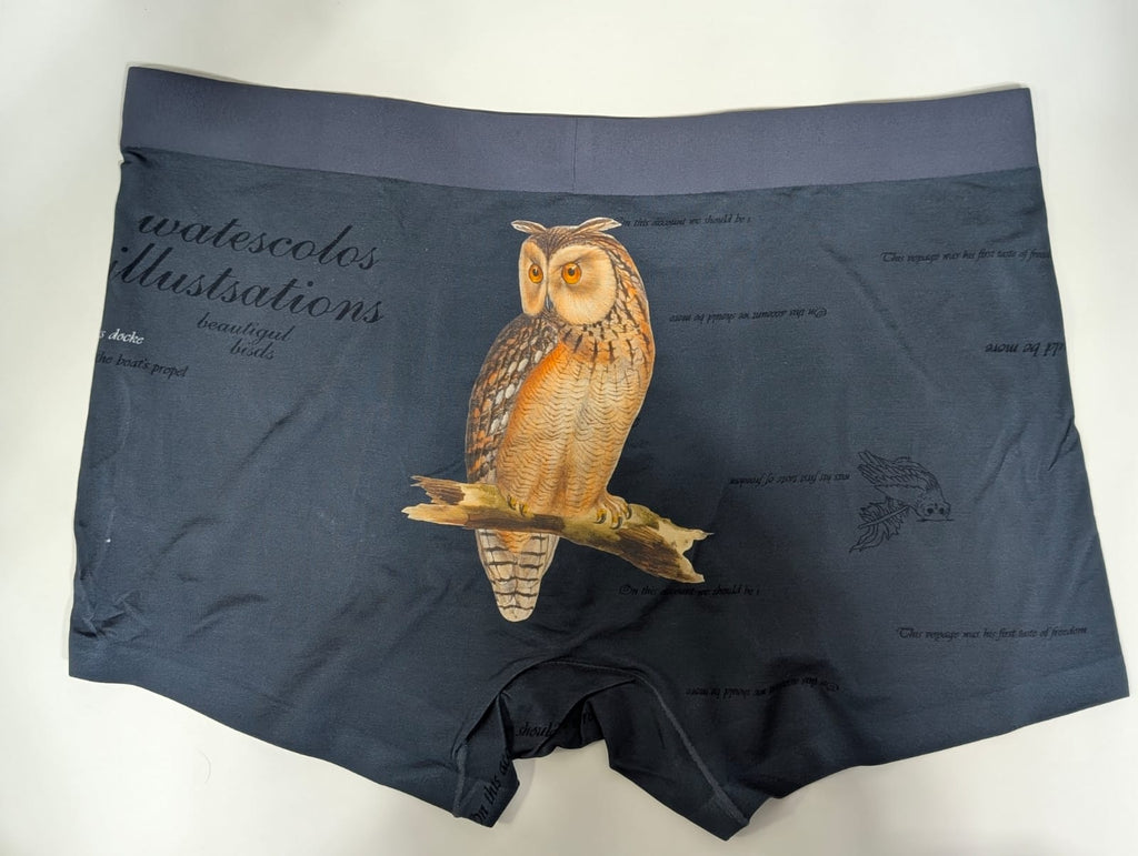 Dragon Underwear 4 Pc Combo